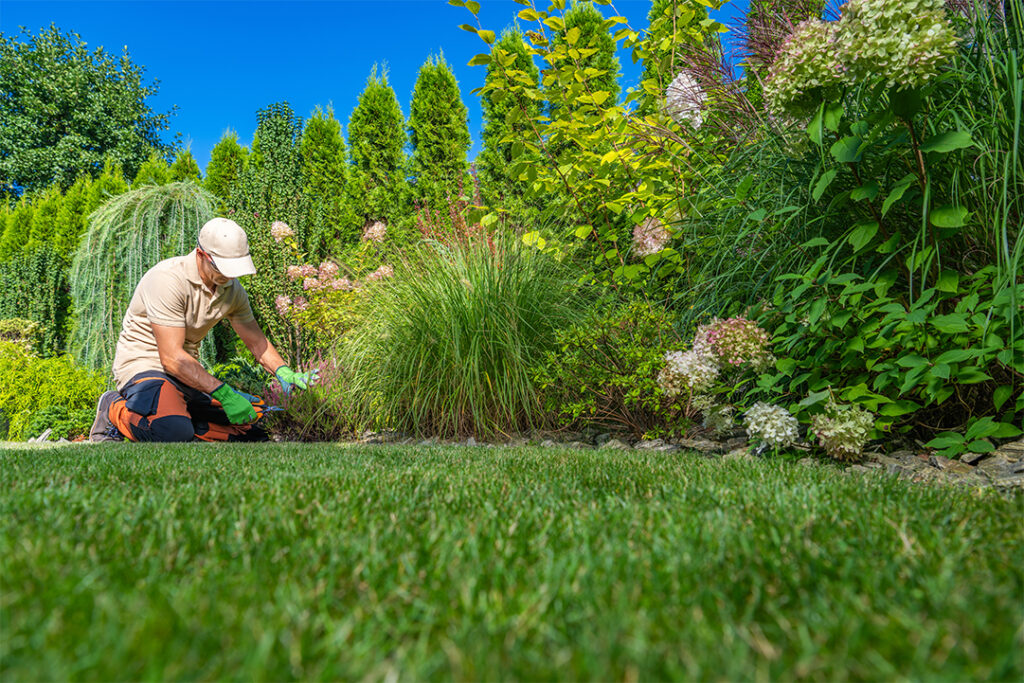 seasonal residential backyard maintenance